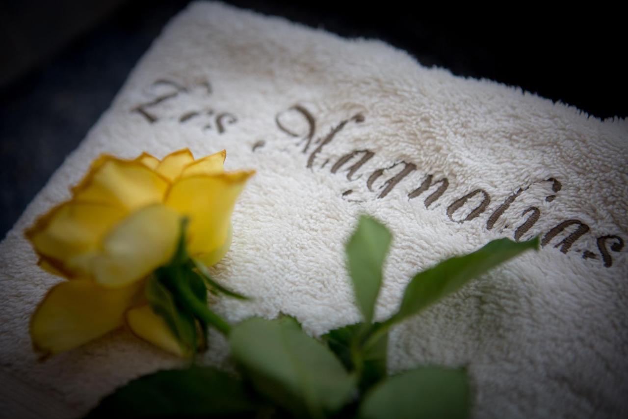 Les Magnolias Holiday Homes Lalinde Bagian luar foto